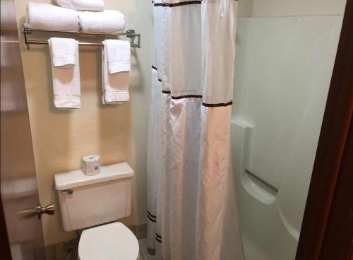 a bathroom with a toilet and a shower with towels at Harbor Winds Hotel in Sheboygan