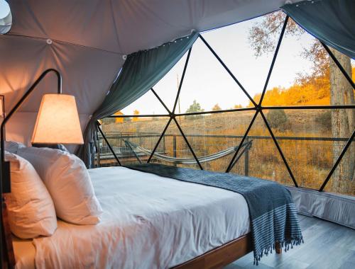 Tempat tidur dalam kamar di Pagosa River Domes