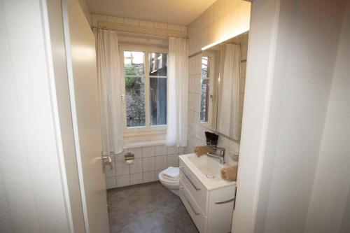 シュクオルにあるVilla Hartenfels 2のバスルーム(トイレ、洗面台付)、窓が備わります。