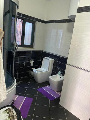 a bathroom with a toilet and a sink at Vila Kani in Krujë