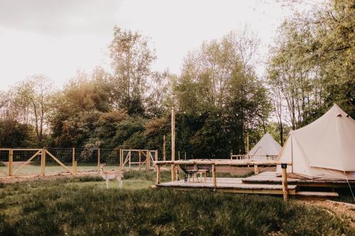 a tent and a playground with a deer in a field at KARIBU - Olifant in Kasterlee
