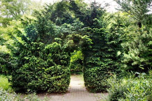 a hedge of bushes with a path between them at Mercure Gdańsk Posejdon in Gdańsk