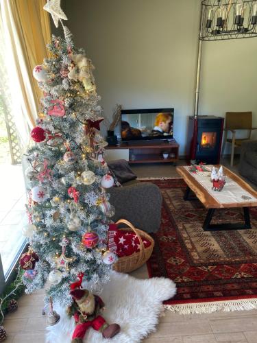 a christmas tree in a living room with a baby at Stellas guesthouse near Arachova in Stírion