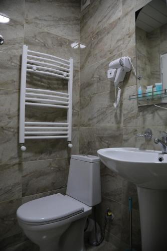 La salle de bains est pourvue de toilettes et d'un lavabo. dans l'établissement Hotel Ramaz Paliani, à Mestia