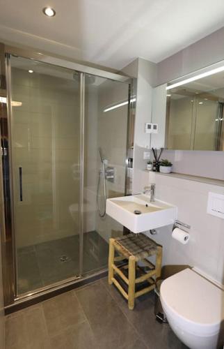 une salle de bain avec une douche, un lavabo et des toilettes dans l'établissement Modern and stylish 3-bedroom apartment with views - centre of St Gervais, à Saint-Gervais-les-Bains