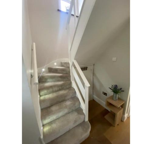 una escalera en una casa con una escalera blanca en Hove House, 15 mins to seafront, free parking certain times en Hove