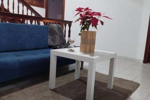 uma mesa com uma planta ao lado de um sofá azul em Hotel Mamma Mia em Duitama
