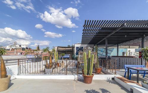 patio z kaktusami i stołami oraz ogrodzeniem w obiekcie Andador Progreso by Domi Housing w mieście Querétaro