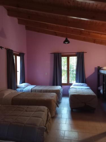four beds in a room with pink walls and windows at Cuatro Cerros Hostel in San Carlos de Bariloche
