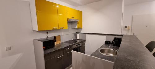 La cuisine est équipée d'un évier et d'une armoire jaune. dans l'établissement Vienna-ROYAL-Apartment, à Vienne