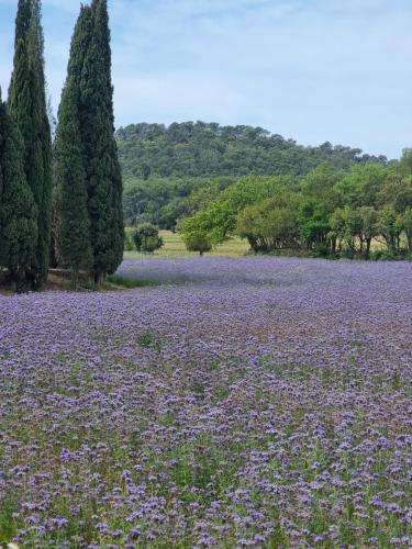 Photo de la galerie de l'établissement Villa avec piscine et vue exceptionnelle dans domaine au calme, à La Londe-les-Maures
