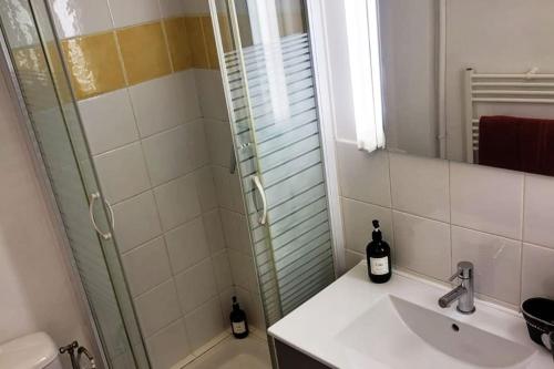 a bathroom with a shower and a sink and a mirror at Le lumineux - Appartement central sur parquet chevrons - Chez Lulu in Nantes