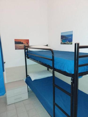 Zimmer mit 2 Etagenbetten in einem Zimmer in der Unterkunft Pesciolino Bianco in Campese