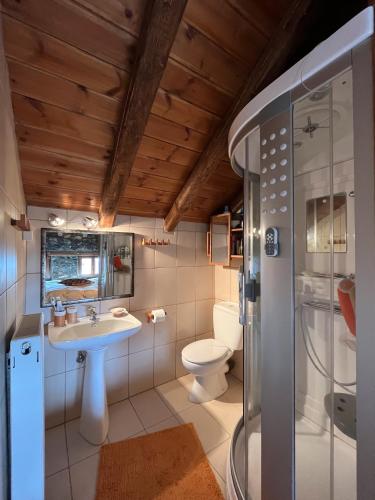 a bathroom with a toilet and a sink and a shower at Fanis & Lena in Palaios Agios Athanasios