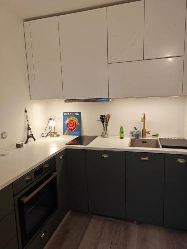 une cuisine avec des armoires noires et blanches et un évier dans l'établissement Appart calme Montmartre, à Paris