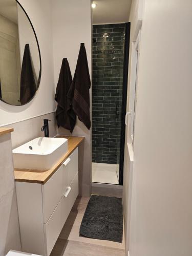 une salle de bain avec un lavabo et une douche avec un miroir dans l'établissement Appart calme Montmartre, à Paris