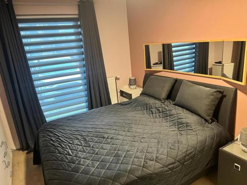 um quarto com uma cama grande e um espelho grande em Residentie Pelikaan - nice view on the Leie em Deinze
