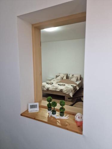 ein Spiegel in einem Zimmer mit einem Bett und einigen Pflanzen in der Unterkunft Vladimirescu 21 in Timişoara
