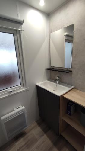 une salle de bain avec un lavabo, un miroir et une fenêtre dans l'établissement Les Dunes de Contis, à Saint-Julien-en-Born
