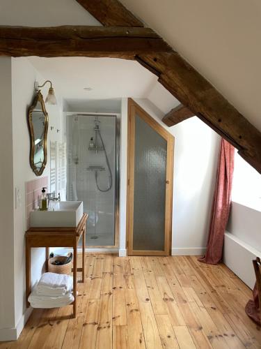 uma casa de banho com um chuveiro, um lavatório e um espelho. em La Grimaudière em La Chapelle-sur-Erdre