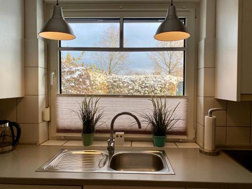 eine Küchenspüle mit Fenster und zwei Topfpflanzen in der Unterkunft fewo1846 - HimmernNest in Harrislee