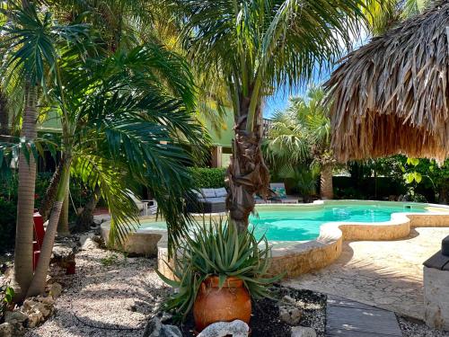 a swimming pool with palm trees in a resort at Ocean View Villas in Kralendijk