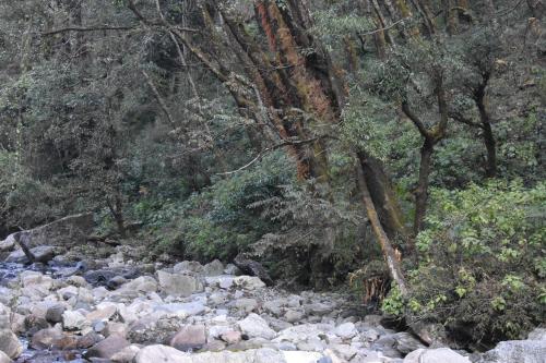a river with rocks and trees in the background at Chopta House Hotel and Restaurant in Sari