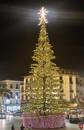 Φωτογραφία από το άλμπουμ του La Coccinella Sorrento στο Σορέντο
