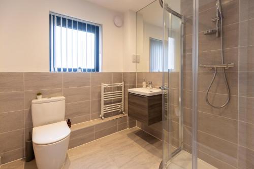 a bathroom with a toilet and a sink and a shower at Mallards Way ML01 HOT TUB Lakeside Spa in Somerford Keynes