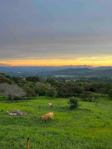 Casa Boungavillea – Photos 5