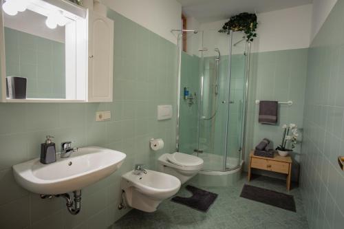 uma casa de banho com um lavatório, um chuveiro e um WC. em App Schlossblick - Wohnung Hammerwand 2 em Umes