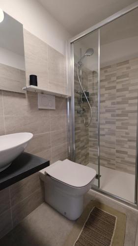 a bathroom with a shower and a toilet and a sink at La Petite Maison Coazze in Coazze