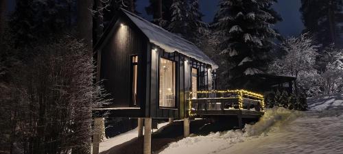 Pine Nook v zimě