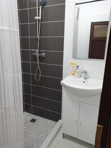 y baño con ducha y lavamanos. en NANA"S HOUSE APARTAMENT 2 Camere,2 bai en Sibiu