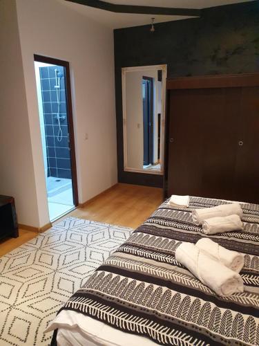 a bedroom with two beds and a mirror at NANA"S HOUSE APARTAMENT 2 Camere,2 bai in Sibiu