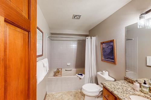 a bathroom with a toilet and a sink and a shower at Riverside A02 - Riverside Chickadee in Telluride