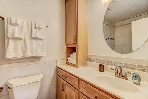 a bathroom with a toilet and a sink and a mirror at 3325 Fairway Oaks in Amelia Island