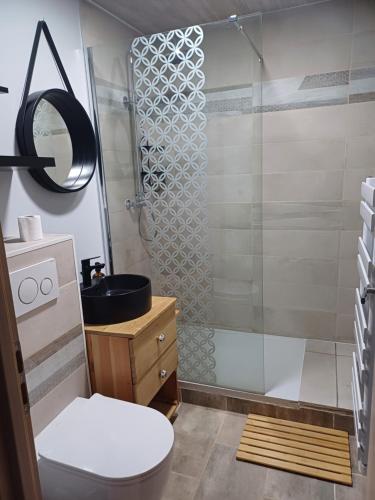 een badkamer met een douche, een toilet en een wastafel bij Entre Montagnes et Lacs in La Bresse