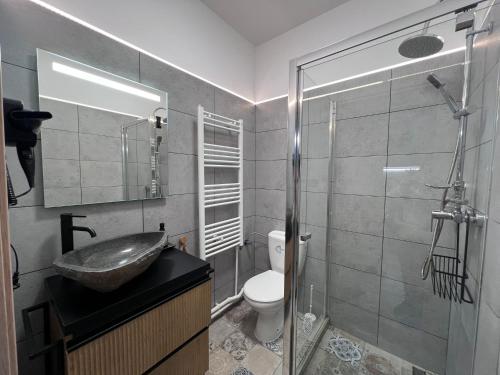 Ванна кімната в Casa Basarab Brasov