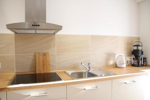 uma cozinha com um lavatório e um fogão em Landhaus Büttner Altenberg em Kurort Altenberg