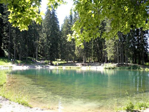 Paesaggio naturale nelle vicinanze dell'appartamento