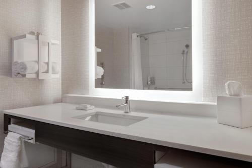 a bathroom with a sink and a large mirror at Hampton Inn Chicago Orland Park in Orland Park