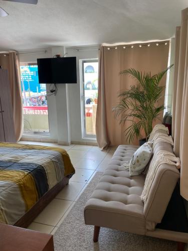 a bedroom with a bed and a plant in it at Departamento en Zona Dorada in Mazatlán
