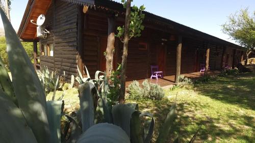 a log cabin with a porch and some plants in front of it at Los Ancares Resort in Mina Clavero