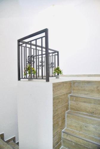 a staircase with two potted plants on a wall at Budva OLD TOWN 4 apartment in Budva