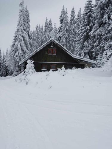 マルティンにあるChata Matičiarの雪の中の木々の丸太小屋