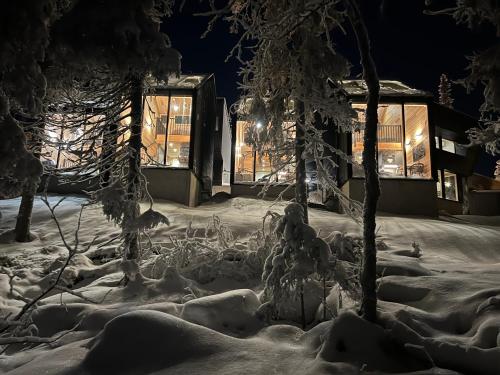 une cour enneigée la nuit avec un bâtiment dans l'établissement Villa Auroras Karhu, à Syöte