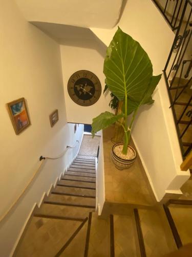 Imagen de la galería de MAKTUB SURF HOUSE, en Tamraght Ouzdar