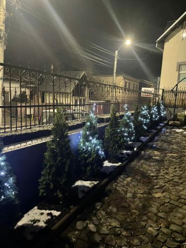 a row of christmas trees in a yard at night at Casa Continentelor in Cîmpulung