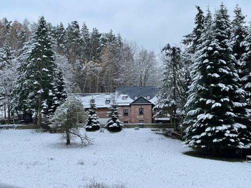 Το Apartment im Wald - mit Schwimmbad! τον χειμώνα